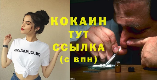 2c-b Бородино