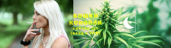 2c-b Бородино