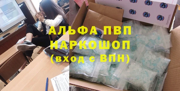 прущие грибы Бугульма
