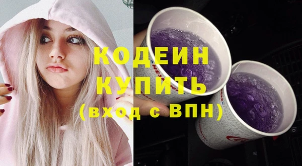 2c-b Бородино