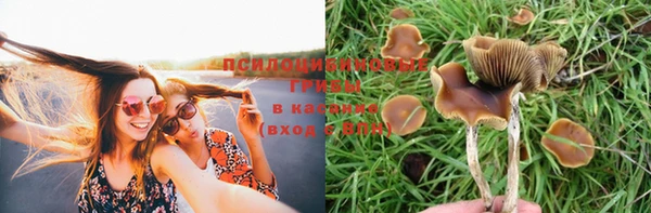 прущие грибы Бугульма