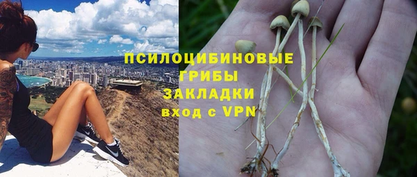 прущие грибы Бугульма