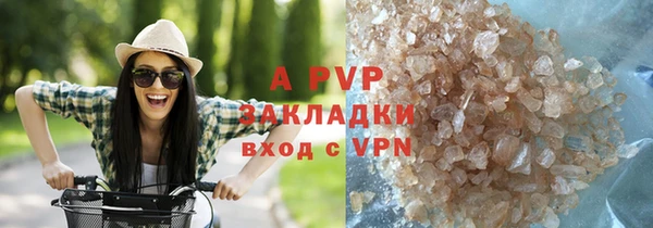 прущие грибы Бугульма