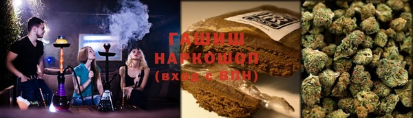 2c-b Бородино
