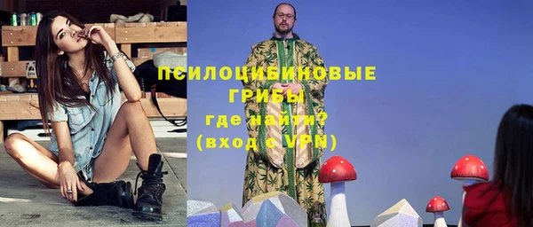 прущие грибы Бугульма