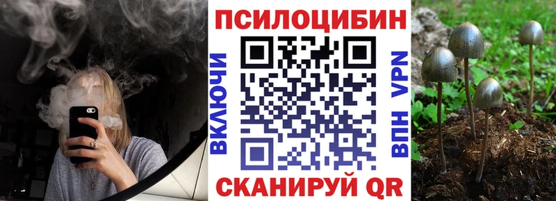 купить   Кириши  Галлюциногенные грибы MAGIC MUSHROOMS 